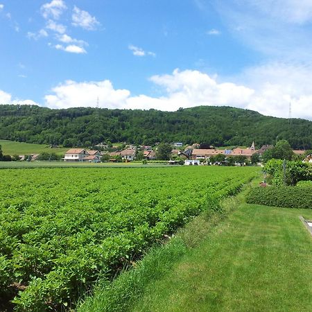 Au Coeur Du Vignoble Sur Bursins Bed and Breakfast Buitenkant foto